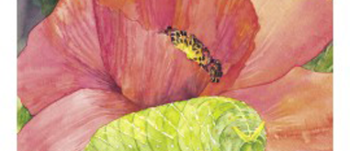 la-oruga-verde