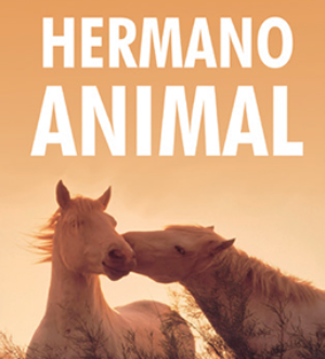 Hermano animal