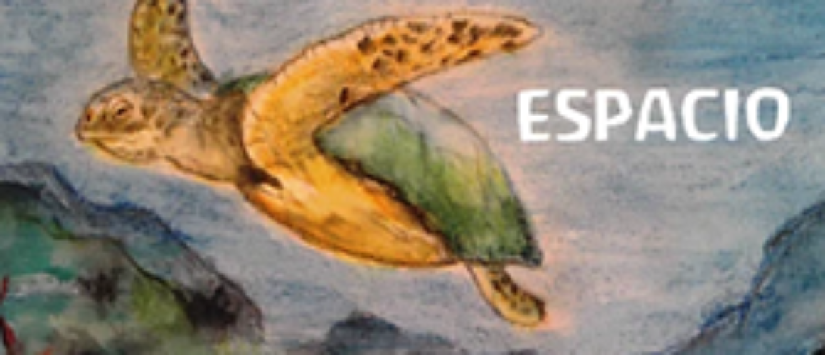 douglas-el-viajero-del-espacio