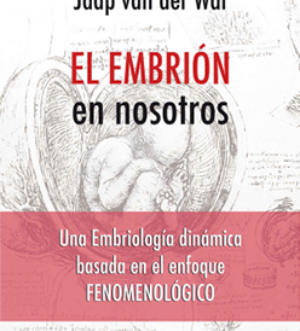 El embrión en nosotros