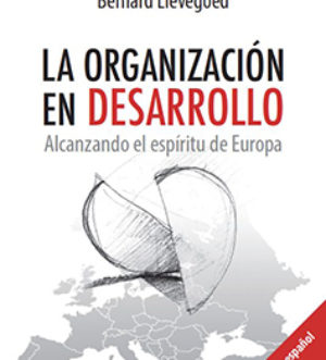 La organización en desarrollo