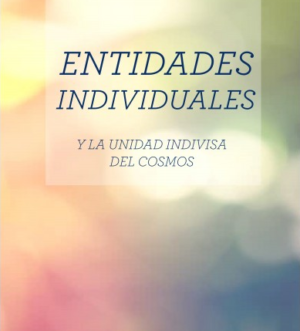 Entidades Individuales