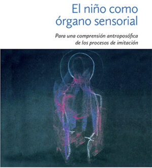 El niño como organo sensorial