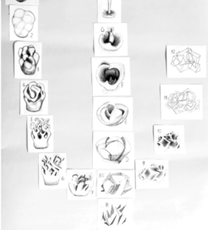 Representación artística del desarrollo